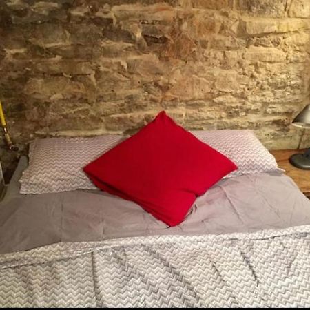 טורונטו Cozy Downtown Private Rooms Near Ago מראה חיצוני תמונה